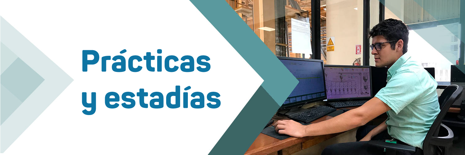 Imagen del banner de la sección estadías profesionales